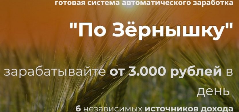 По Зёрнышку — система автоматического заработка от 3000 рублей в день По Зёрнышку — система автоматического заработка от 3000 рублей в день