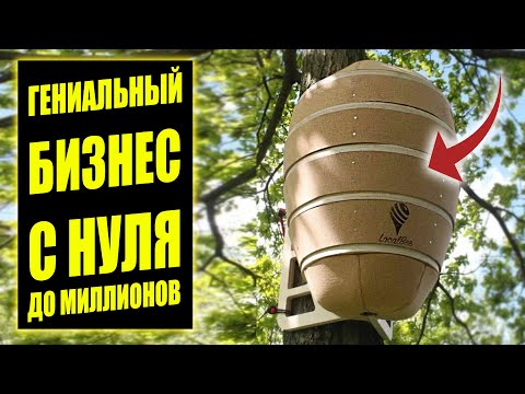 БИЗНЕС ИДЕИ С НУЛЯ ДО МИЛЛИОНА! Бизнес идеи! Бизнес 2024! БИЗНЕС ИДЕИ С НУЛЯ ДО МИЛЛИОНА! Бизнес идеи! Бизнес 2024!