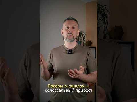 Как получить колоссальный прирост трафика при помощи посевов#реклама #маркетинг #посевы Как получить колоссальный прирост трафика при помощи посевов#реклама #маркетинг #посевы