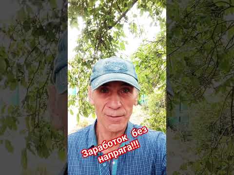 Бизнес в вебе Бизнес в вебе