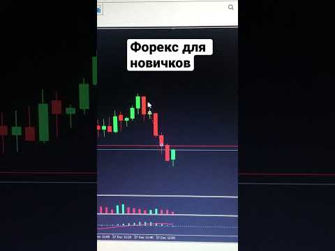 Форекс для новичков #shorts Форекс для новичков #shorts