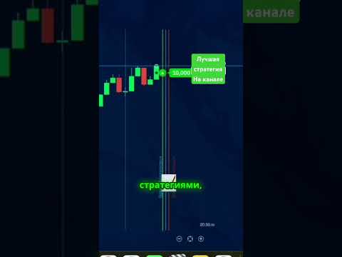 Трейдинг для новичков 2024 Трейдинг для новичков 2024
