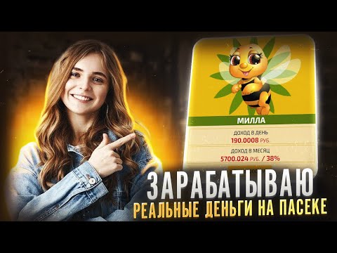 ✅КАК СТАТЬ БОГАТЫМ на ПАСЕКЕ? Как Заработать ДЕНЬГИ в Вебе? Как Заработать МНОГО ДЕНЕГ? ✅КАК СТАТЬ БОГАТЫМ на ПАСЕКЕ? Как Заработать ДЕНЬГИ в Вебе? Как Заработать МНОГО ДЕНЕГ?