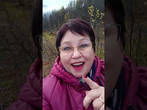Бизнес в вебе.... Бизнес в вебе....
