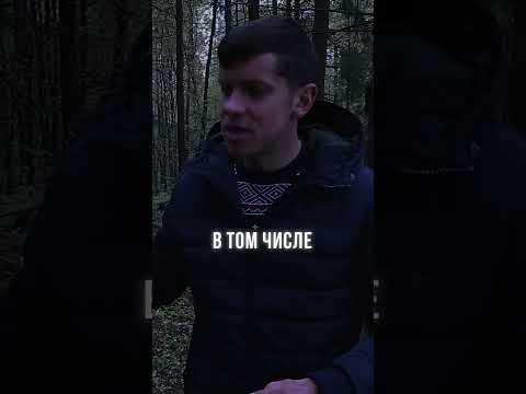 Схемы заработка в вебе #бизнес #обучение <i>(педагогический процесс, в результате которого учащиеся под руководством учителя овладевают знаниями, умениями и навыками)</i> #инвестиции #экономика #схемызаработка Схемы заработка в вебе #бизнес #обучение <i>(педагогический процесс, в результате которого учащиеся под руководством учителя овладевают знаниями, умениями и навыками)</i> #инвестиции #экономика #схемызаработка