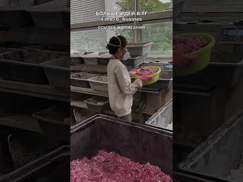 НОВЫЙ БИЗНЕС, КОТОРОГО У НАС ЕЩЕ НЕТ! Бизнес 2024! НОВЫЙ БИЗНЕС, КОТОРОГО У НАС ЕЩЕ НЕТ! Бизнес 2024!