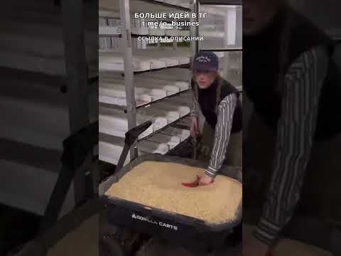 ВОТ БИЗНЕС ИДЕЯ НА ВСЕ ВРЕМЕНА! Бизнес 2024! ВОТ БИЗНЕС ИДЕЯ НА ВСЕ ВРЕМЕНА! Бизнес 2024!