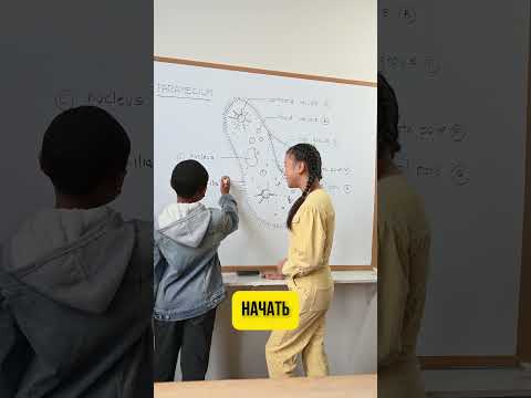 Как заработать школьнику в вебе #заработокбезвложений #ии #нейросети Как заработать школьнику в вебе #заработокбезвложений #ии #нейросети