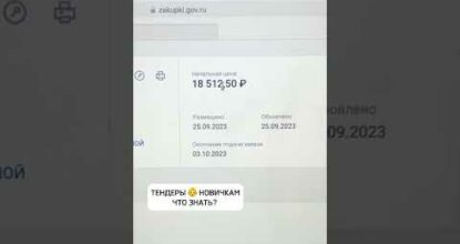 Тендеры для новичков #инвестиции #бизнес #средства