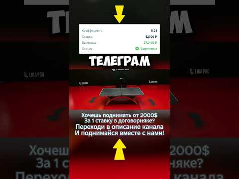 Секреты заработка на приобретенных матчах для новичков Секреты заработка на приобретенных матчах для новичков