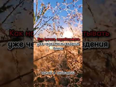 Как начать зарабатывать в вебе#деньгивинтернете Как начать зарабатывать в вебе#деньгивинтернете