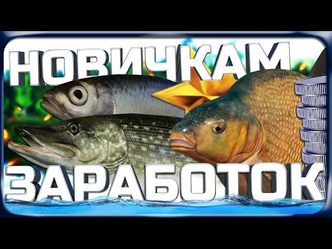 РР4 ЛУЧШИЕ СПОСОБЫ ЗАРАБОТКА ДЛЯ НОВИЧКОВ! РР4 ЛУЧШИЕ СПОСОБЫ ЗАРАБОТКА ДЛЯ НОВИЧКОВ!