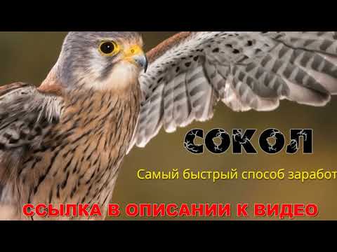 💰 Отыскать работу онлайн windows 🔥 Удаленная работа через веб-интернет с каждодневной оплатой 🔔 💰 Отыскать работу онлайн windows 🔥 Удаленная работа через веб-интернет с каждодневной оплатой 🔔